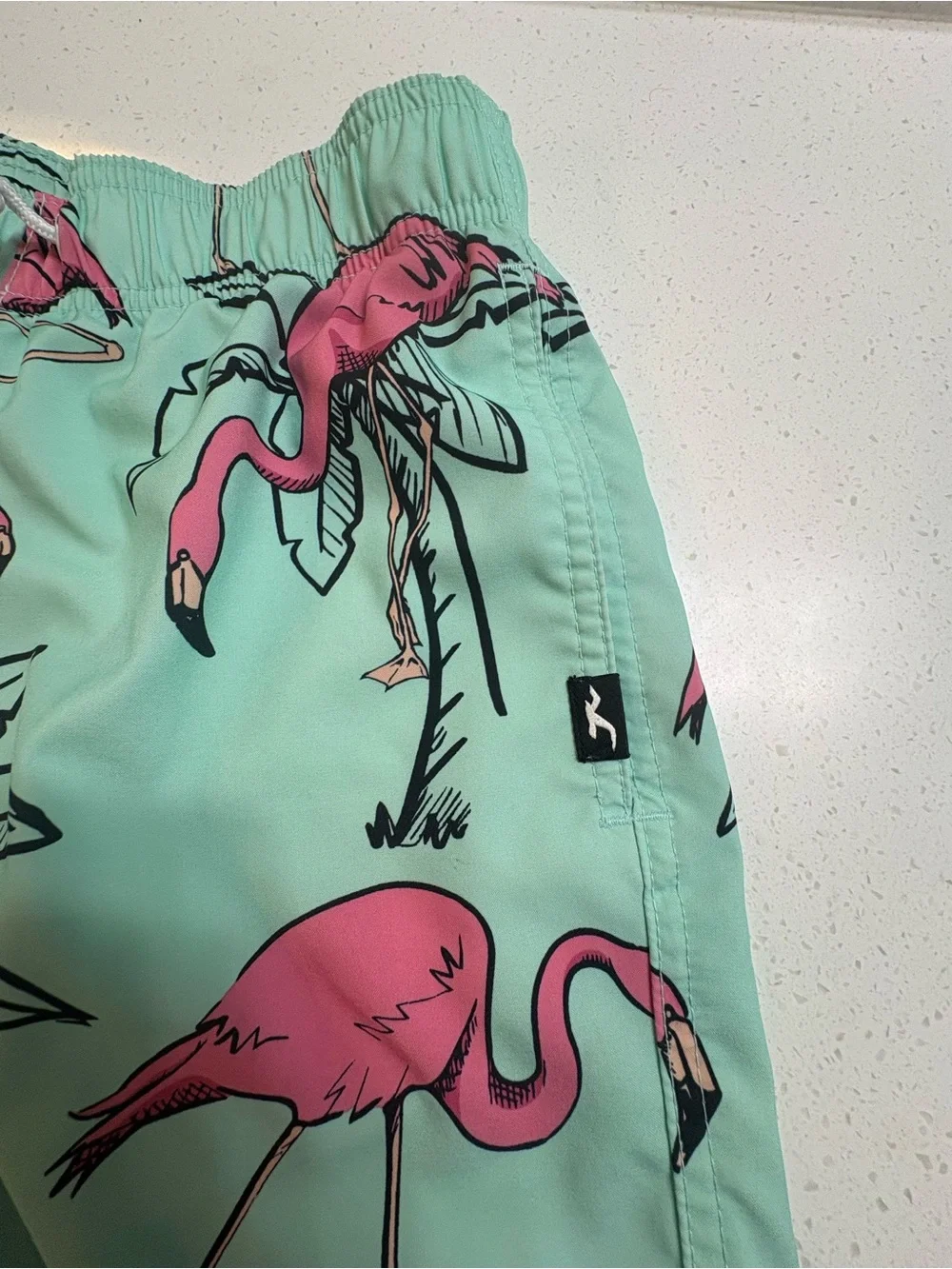 Hollister Mint Green Flamingo Swim Trunks Size XS